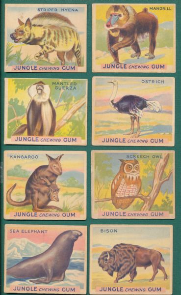 1934 R78 Jungle Chewing Gum Lot of (11) World Wide Gum W/ High #s
