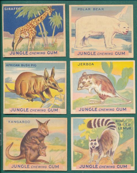 1933 R78 Jungle Gum World Wide Gum Lot of (6) W/ #1 Giraffe & Hi #s