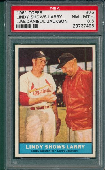 1961 Topps #75 Lindy Shows Larry PSA 8.5