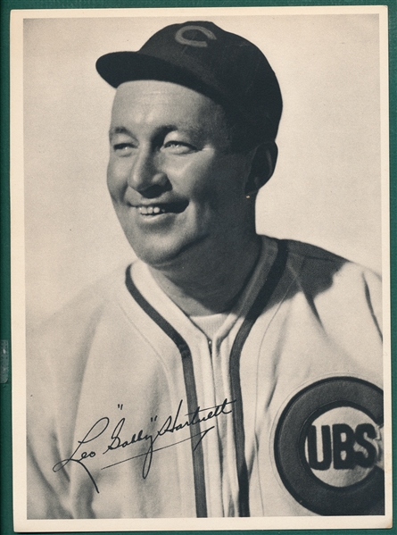 1939 Chicago Cubs Team Photo Issue Complete Set (25) W/ Hartnett, Herman & Dean