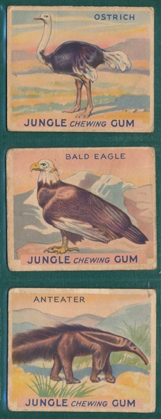 1930s R78 Goudey Jungle Chewing Gum Partial Set (30/48)