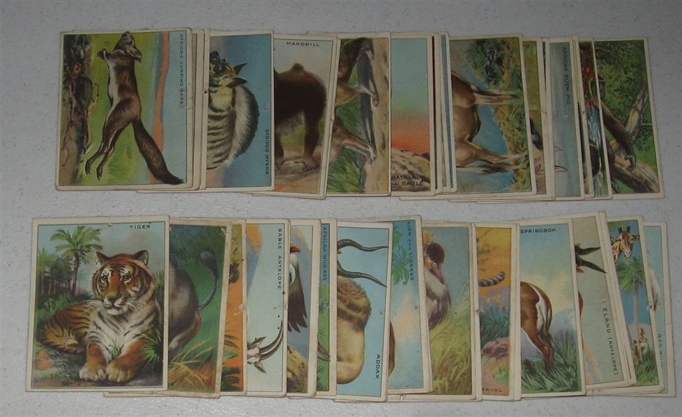 1910 T29 Animals, Hassan Cigarettes & Blank Backs, Lot of (53) 