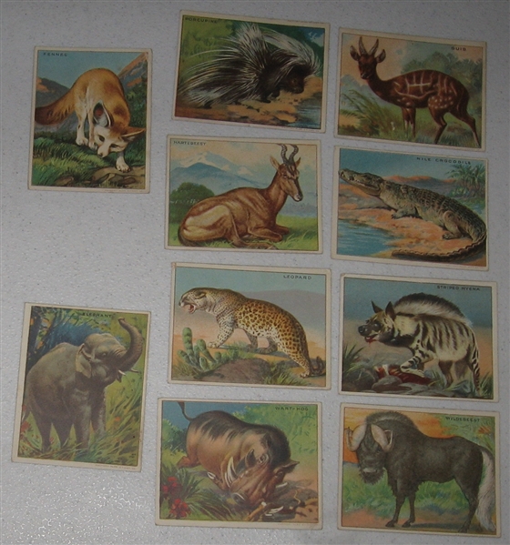 1910 T29 Animals, Hassan Cigarettes & Blank Backs, Lot of (53) 