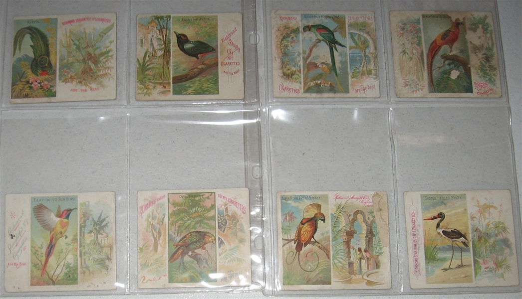 1888 N38 Birds of the Tropics, Allen & Ginter, Lot of (31) 
