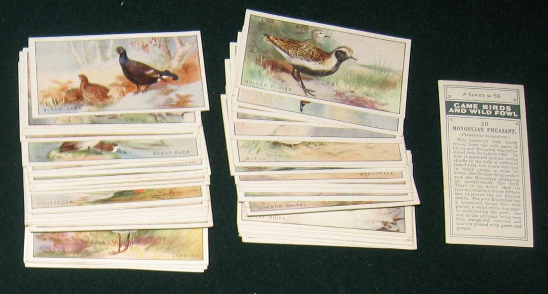 1920s/30s Lot of (3) Bird/Nature Complete Sets in Original Packaging