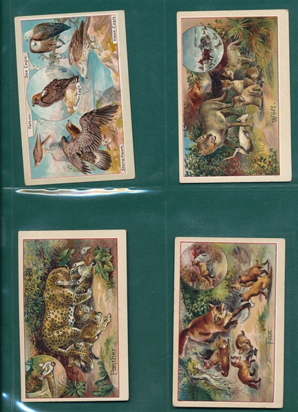 1880s-1920s Lot of (22) Animals & Flowers W/ E. T. Pilkinton-Co.
