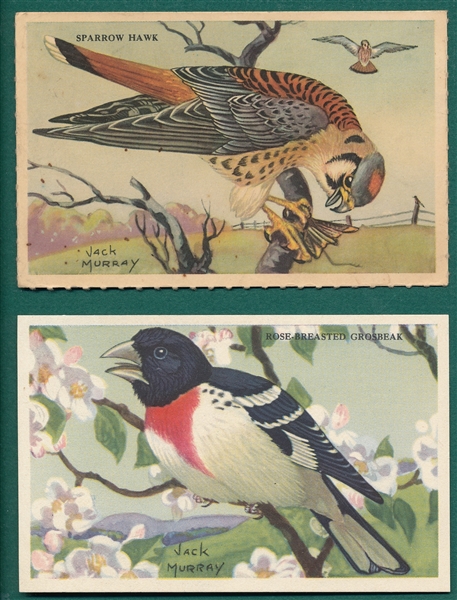 1940s-50s Kelloggs Krumbles and Tootsietoys, Birds. Lot of (42)