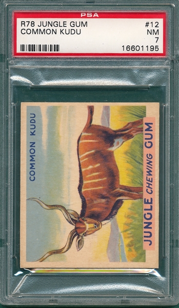 1930 Jungle Gum #12 Common Kudu PSA 7