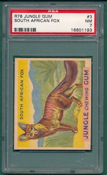 1930 Jungle Gum #3 South African Fox PSA 7