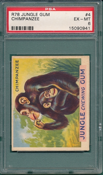 1930 Jungle Gum #4 Chimpanzee PSA 6