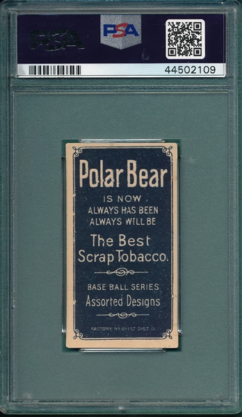 1909-1911 T206 Griffith, Batting, Polar Bear PSA 5