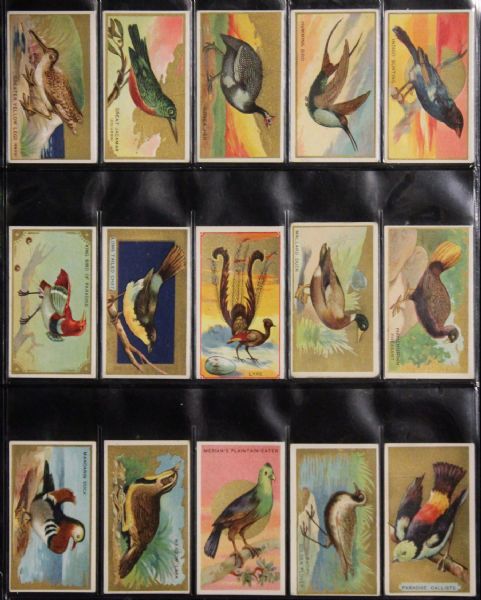 1910-11 T42 Bird Series Complete Set (100 Cards)