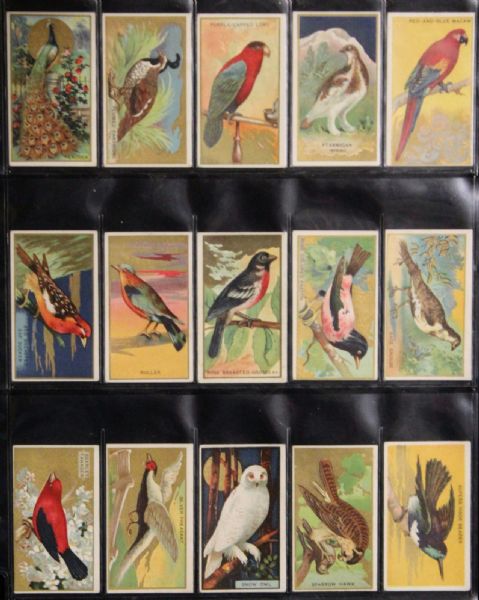 1910-11 T42 Bird Series Complete Set (100 Cards)