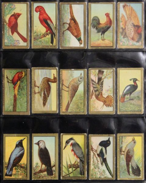 1910-11 T42 Bird Series Complete Set (100 Cards)