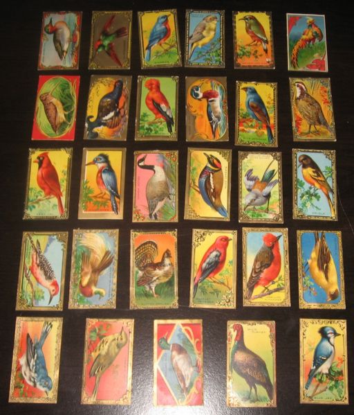 1910's T43 Mecca Cigarettes Bird Series *Complete Set*