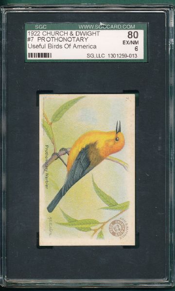 1922 Church & Dwight Useful Birds of America (2) Card Lot SGC