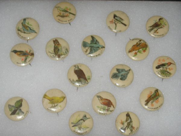 1890s Whitehead and Hoag Co.  Pinback Buttons Lot of (17) Birds