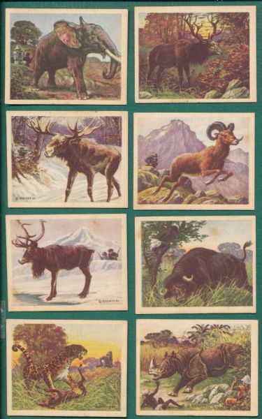 1933 Planters Hunted Animals Near Set (24/25)