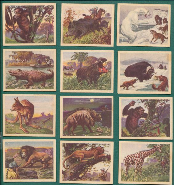 1933 Planters Hunted Animals Near Set (24/25)