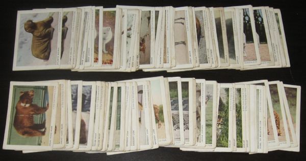 1933 Frostick Animals Cards Lot of (109)
