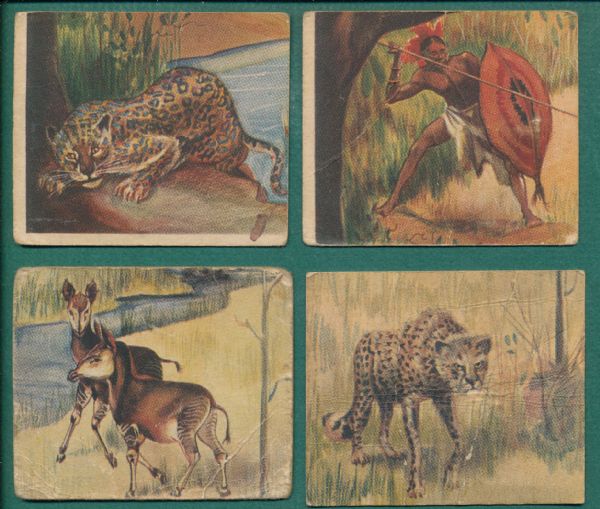 1930s R6 African Jungle Scene, National Licorice Company Lot of (14)