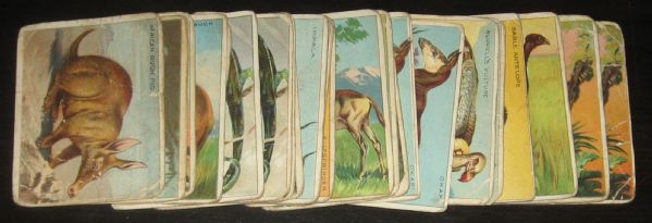 1911 T29 Animals Hassan Cigarettes Lot of (76)