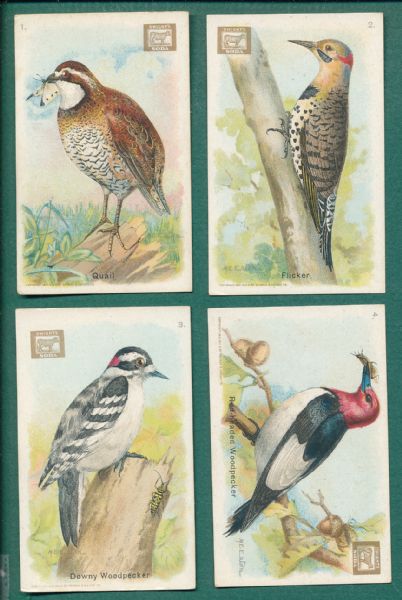 1915-38 Useful Birds of America Church & Dwight, Arm & Hammer (3) Complete Sets