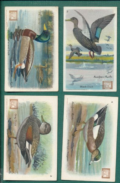 1915-38 Useful Birds of America Church & Dwight, Arm & Hammer (4) Complete Sets, (116) Card Lot