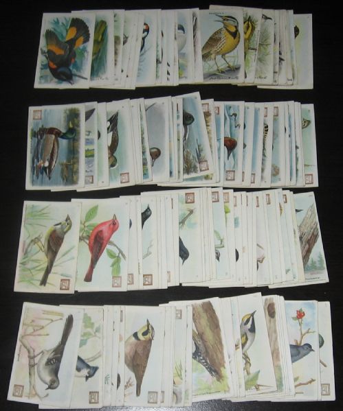 1915-38 Useful Birds of America Church & Dwight, Arm & Hammer (4) Complete Sets, (116) Card Lot