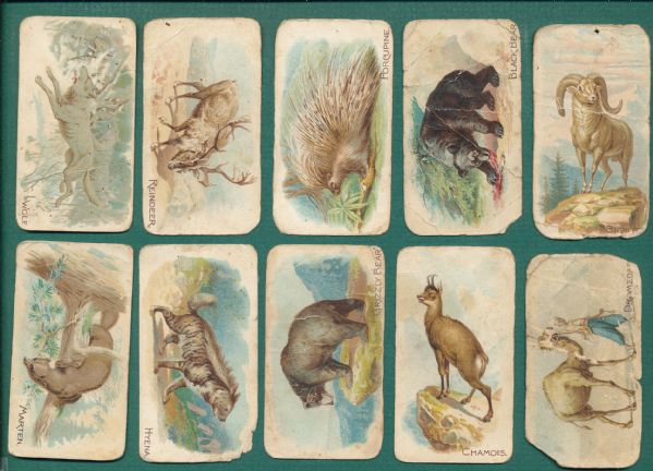 1911 E28 Zoo Animals Philadelphia Caramels Lot of (12)