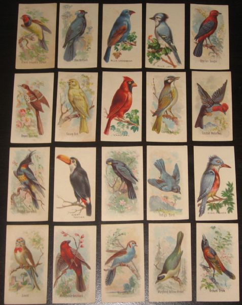 1920's Weber Baking Birds Partial Set of (47/50) *Crease Free*