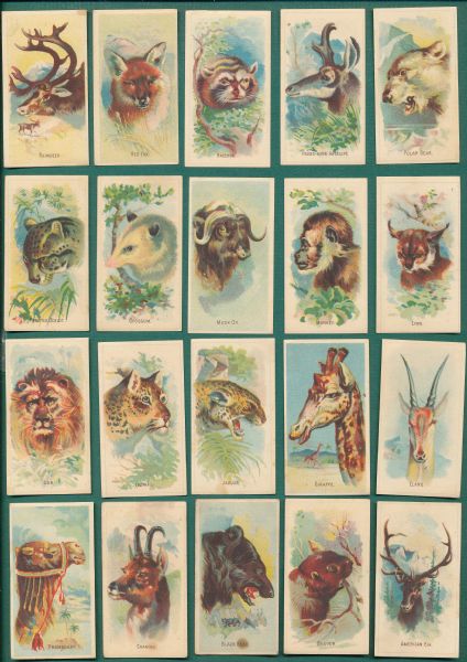 1920's Weber Baking D8 Animal Pictures Lot of (29) 