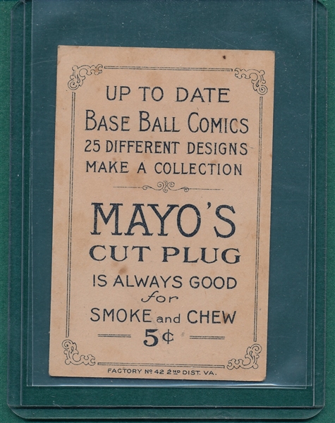 1900 T203 A White Wash Mayo Cut Plugs