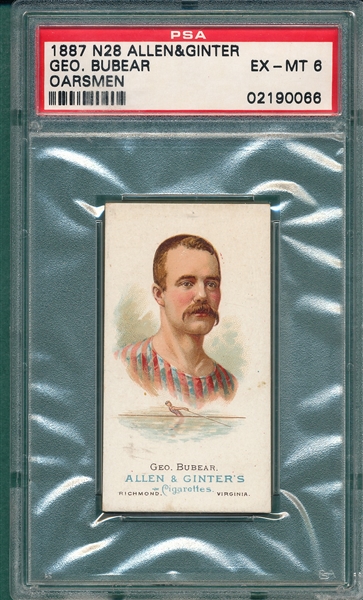 1887 N28 Bubear Allen & Ginter Cigarettes PSA 6 