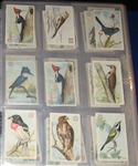 1890s-1968 Birds & Wildlife Cards and PCs Cards Lot of (272) Plus Card Game