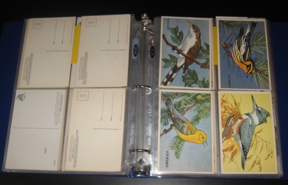 1890s-1968 Birds & Wildlife Cards and PCs Cards Lot of (272) Plus Card Game