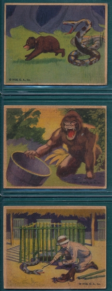1938 Frank Buck Lot of (6) W/ #37 Swamp Peril PSA 3