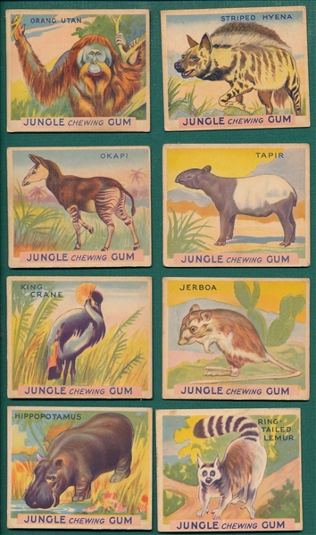 1933 Jungle Chewing Gum Lot of (8)