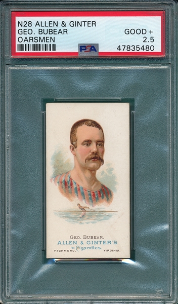 1887 N28 Bubear Allen & Ginter Cigarettes PSA 2.5