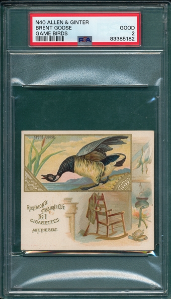 1889 N40 Game Birds Brent Goose Allen & Ginter Cigarettes PSA 2