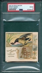 1889 N40 Game Birds Brent Goose Allen & Ginter Cigarettes PSA 2