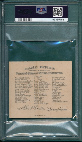 1889 N40 Game Birds Brent Goose Allen & Ginter Cigarettes PSA 2